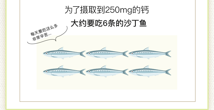 BELTA葉酸講究成分