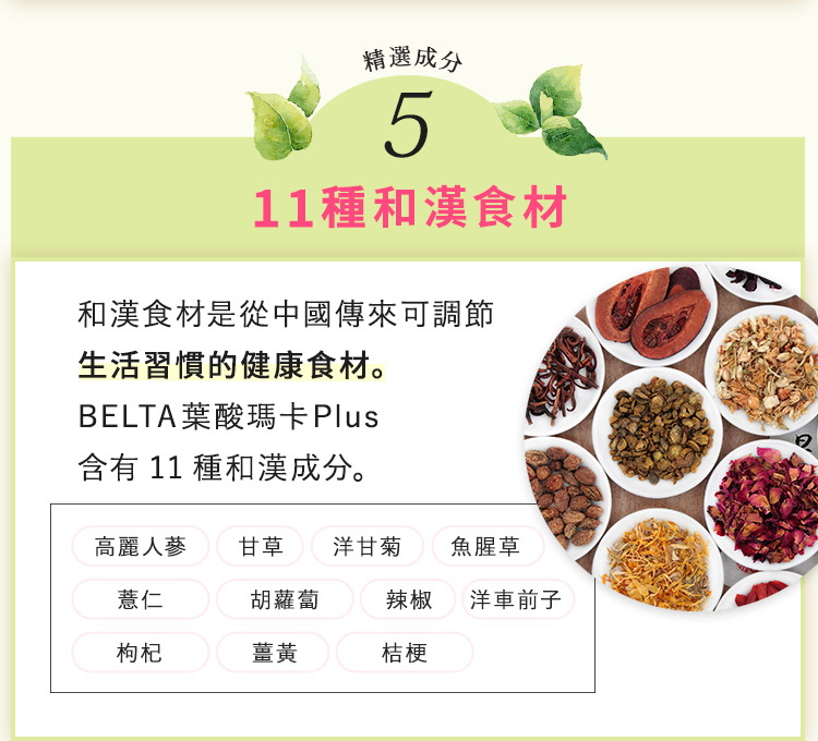 11種和漢食材